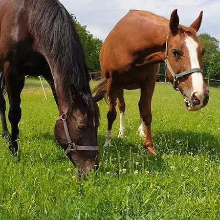 팜스테이 Mala Wenecja - Przy 