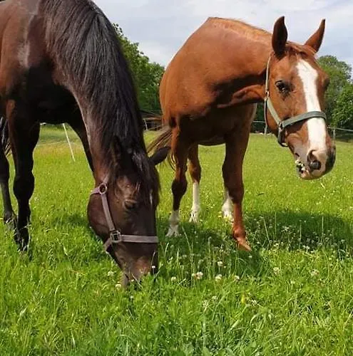 팜스테이 Mala Wenecja - Przy 